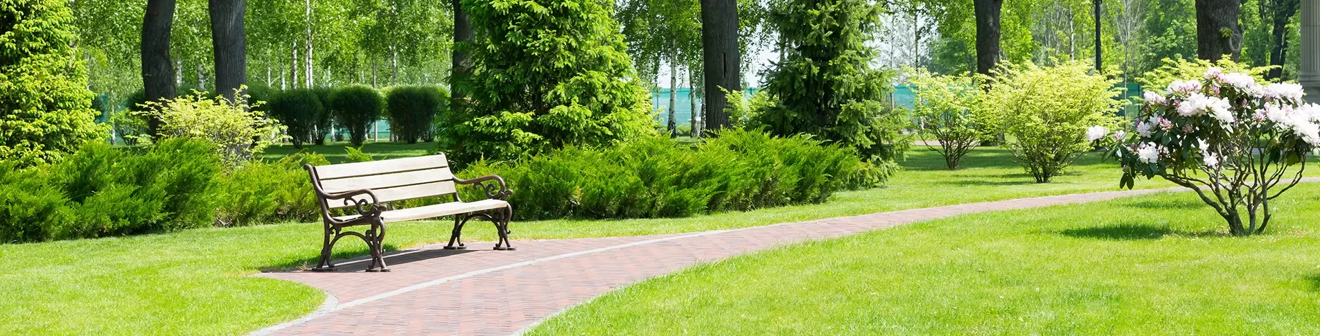 Open outdoor space in Provo
