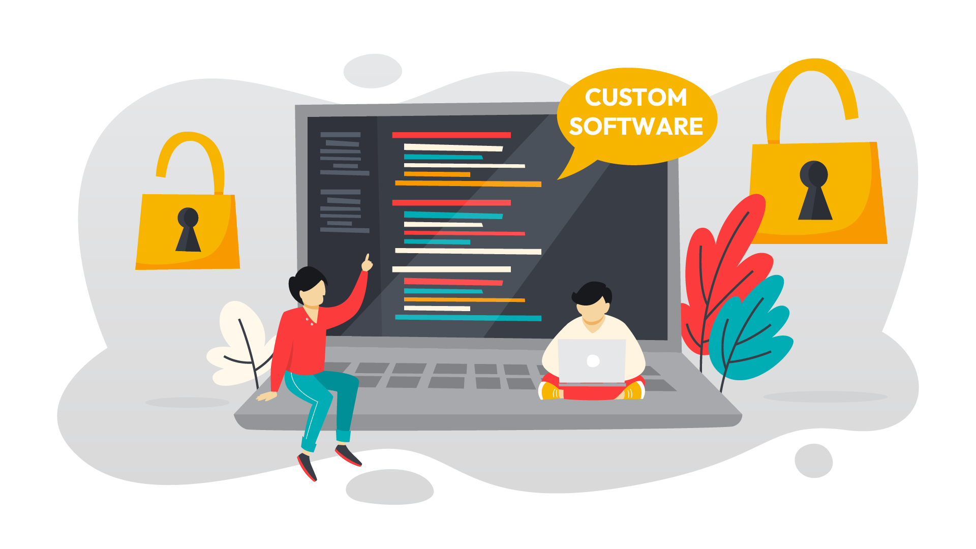Custom Software Solutions Within Budget