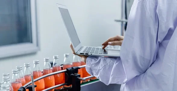 Someone Using the laptop