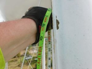 Types of Water Tank Inspections